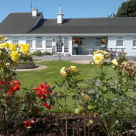 Pio Bed & Breakfast Cong