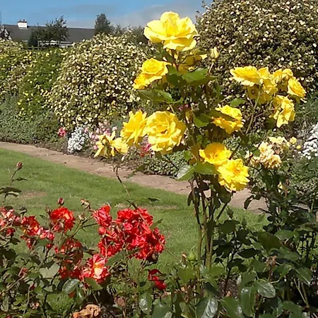 Bed & Breakfast Pio Cong