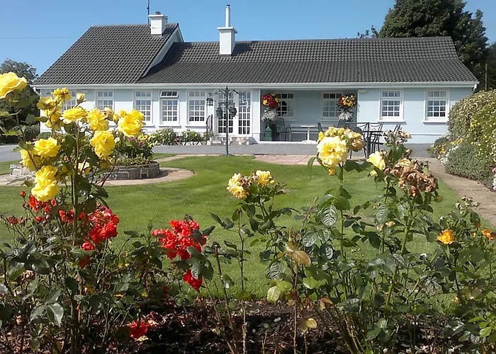 Pio Couette-café Cong