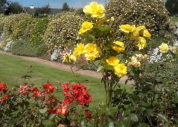 ベッド・アンド・ブレックファスト Pio コング